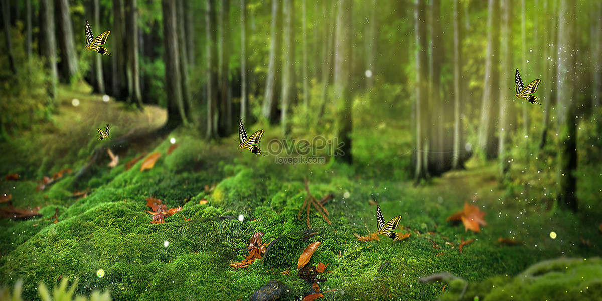 3D cute forest background 0058