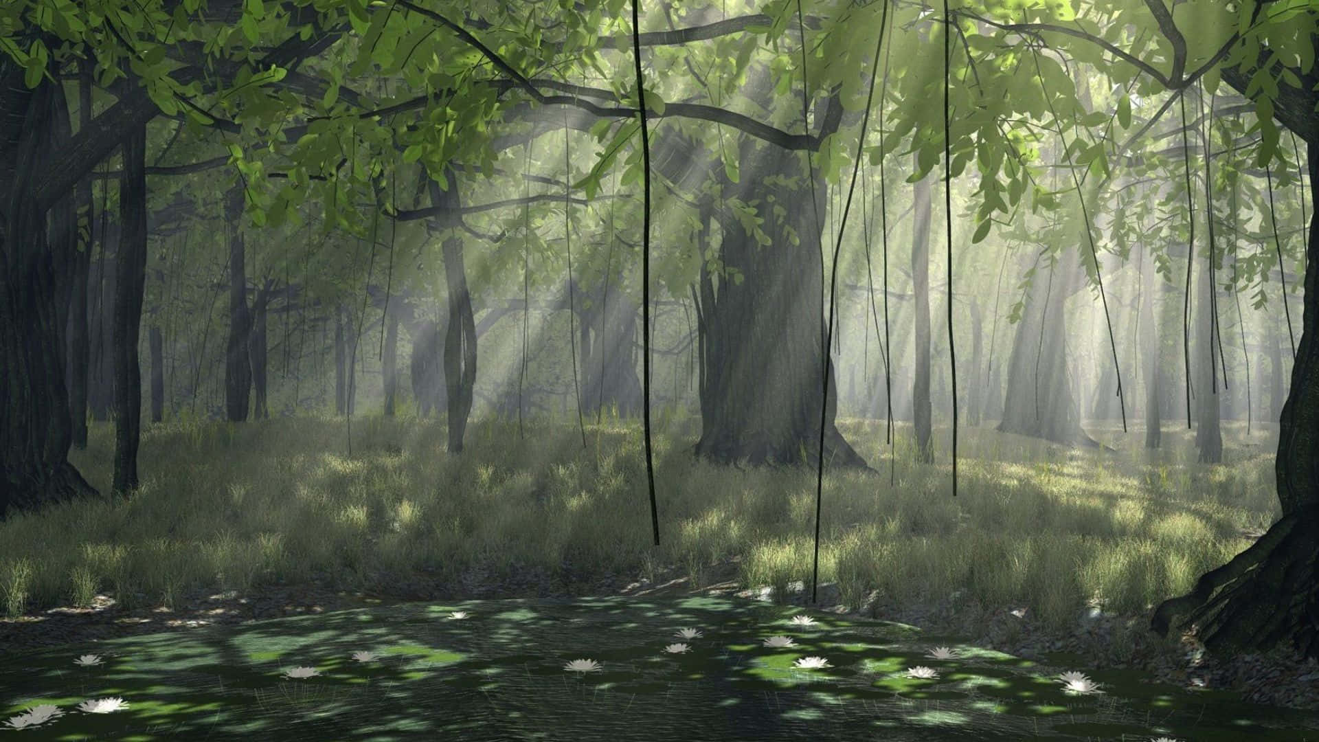 3D cute forest background 0091