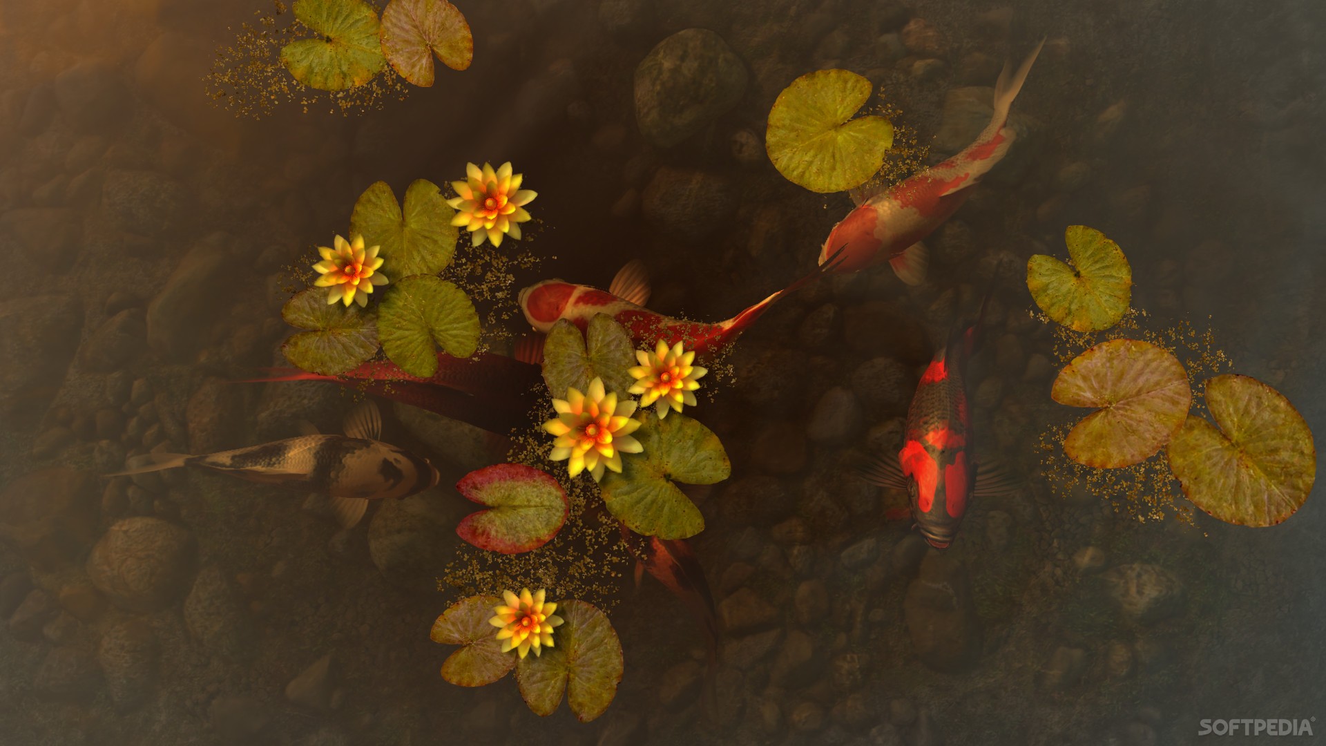 3D cute pond background 0065