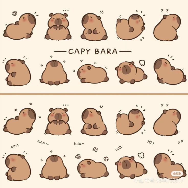 adorable capybara backgrounds