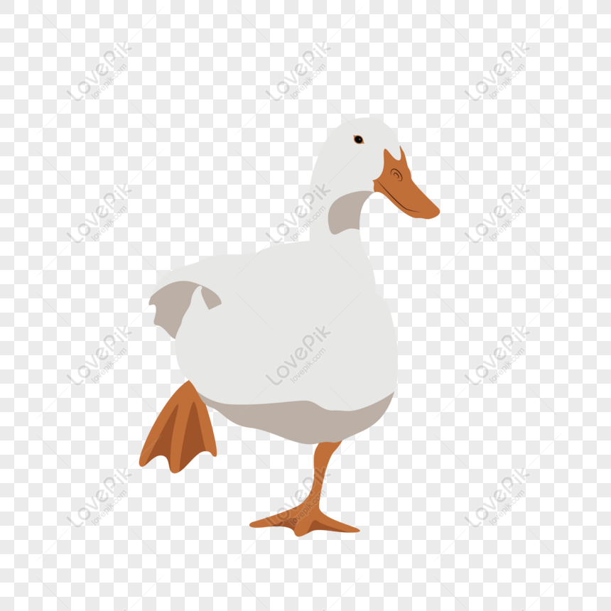 adorable cute duck transparent background