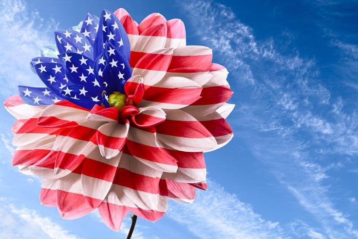 adorable Memorial Day backgrounds for kids