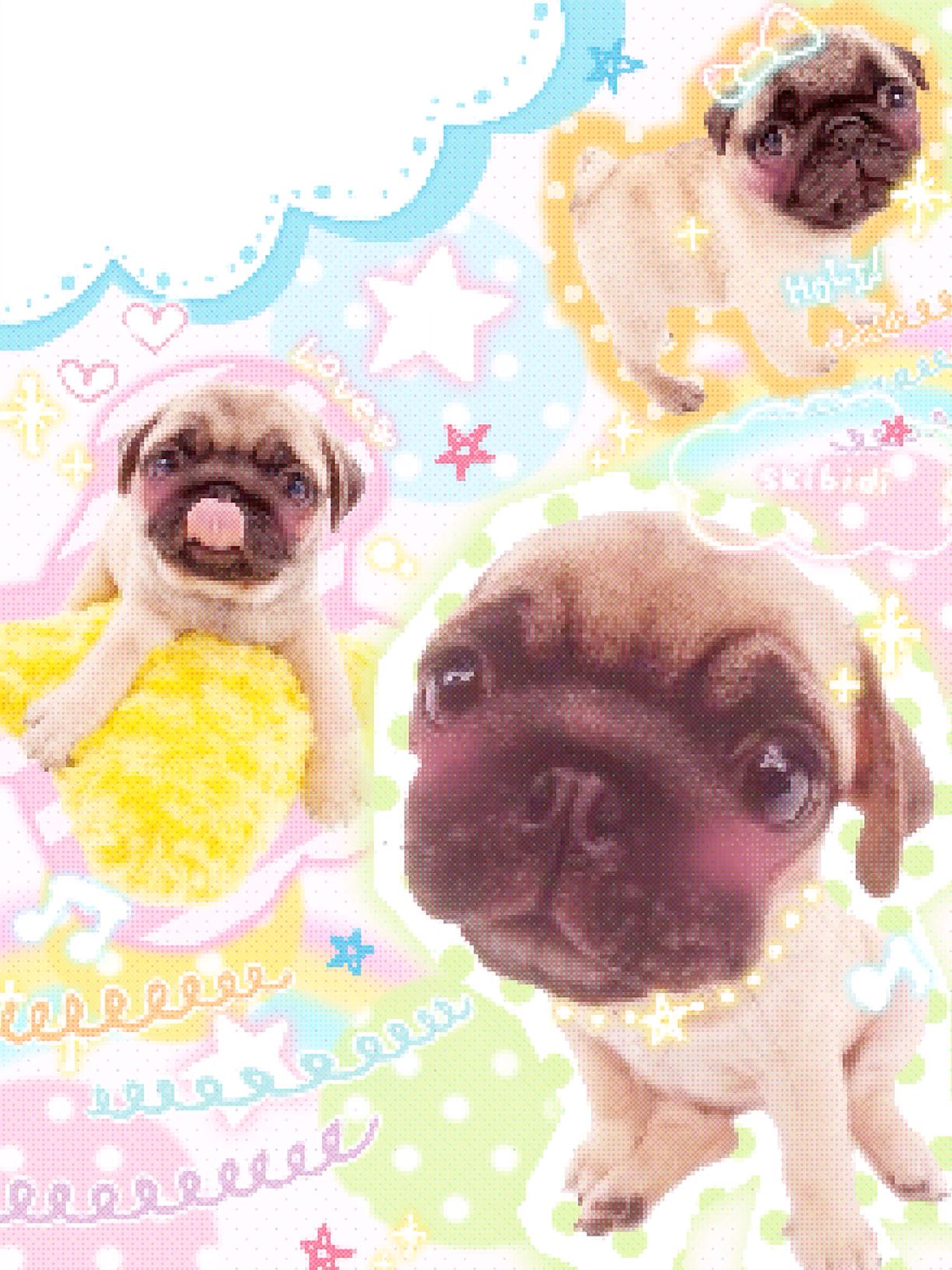 adorable pug backgrounds