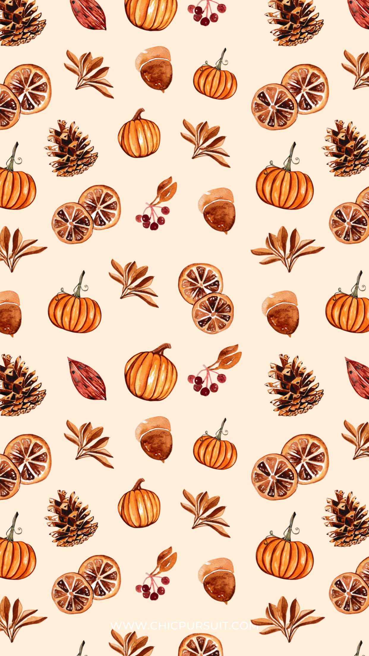 adorable pumpkin backgrounds