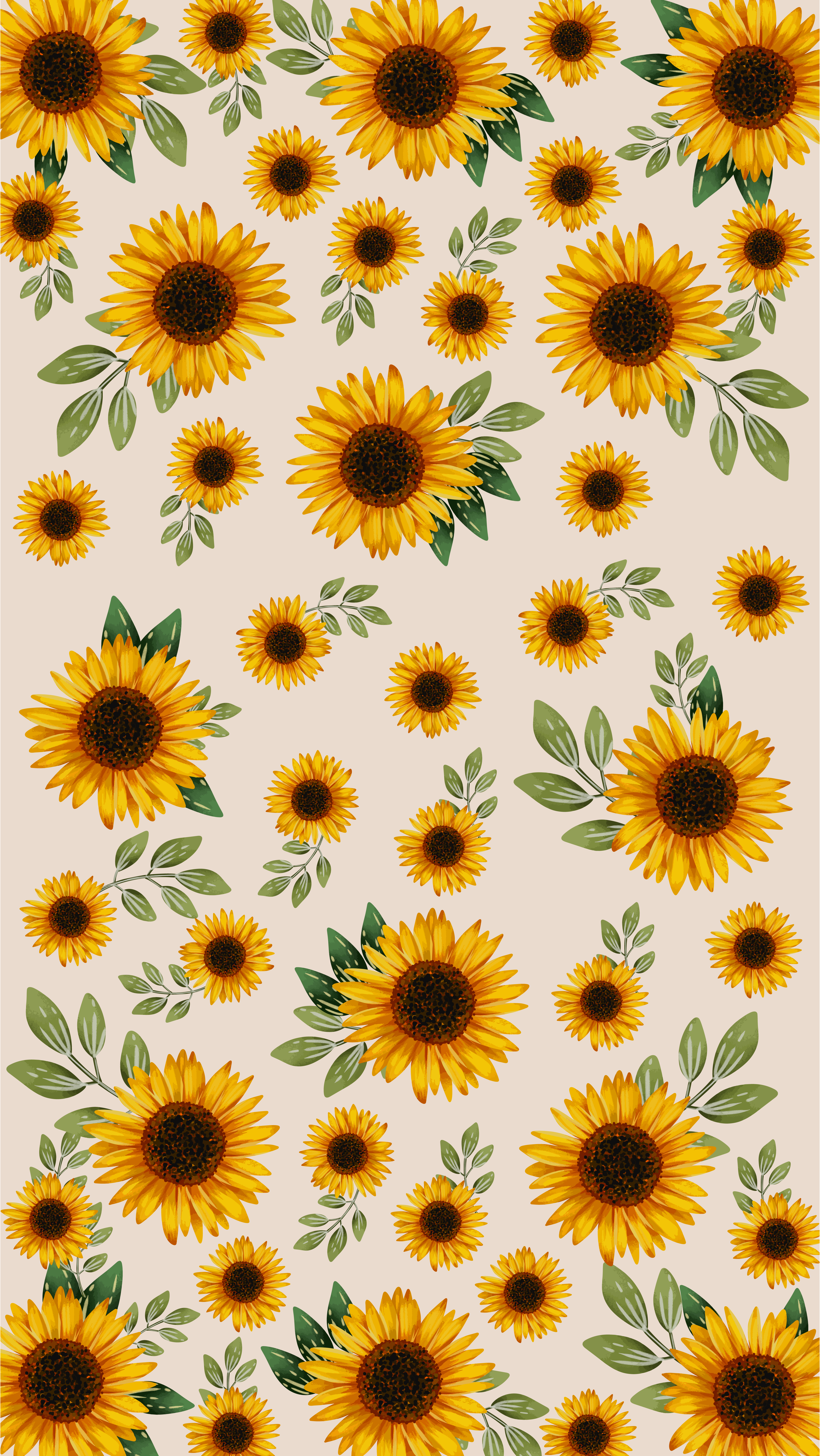 adorable sunflower backgrounds for social media