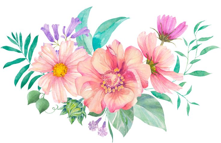 adorable transparent backgrounds adorned with cute flowers