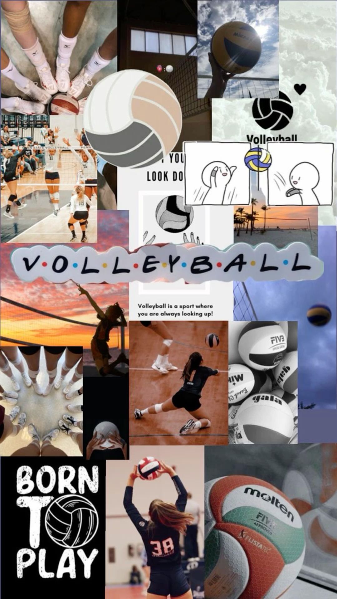 Adorable volleyball backgrounds