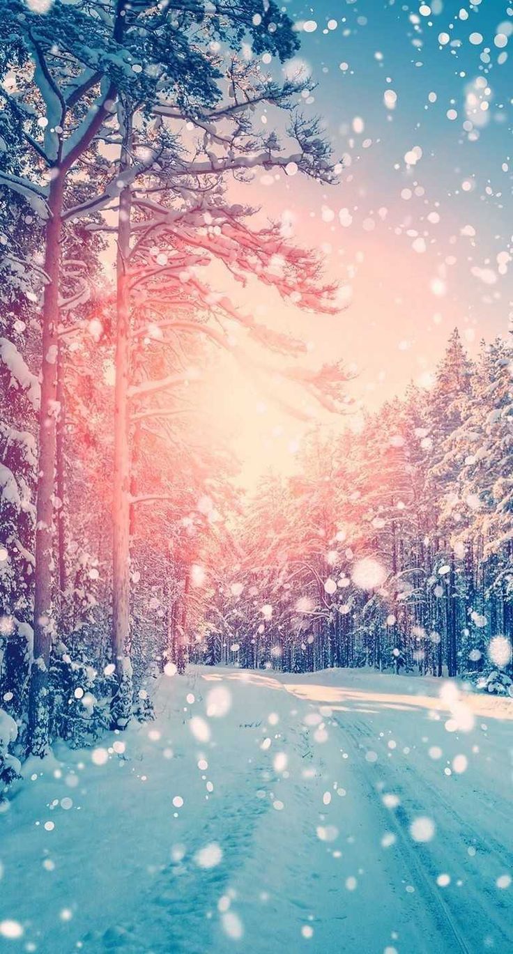 adorable winter scene backgrounds