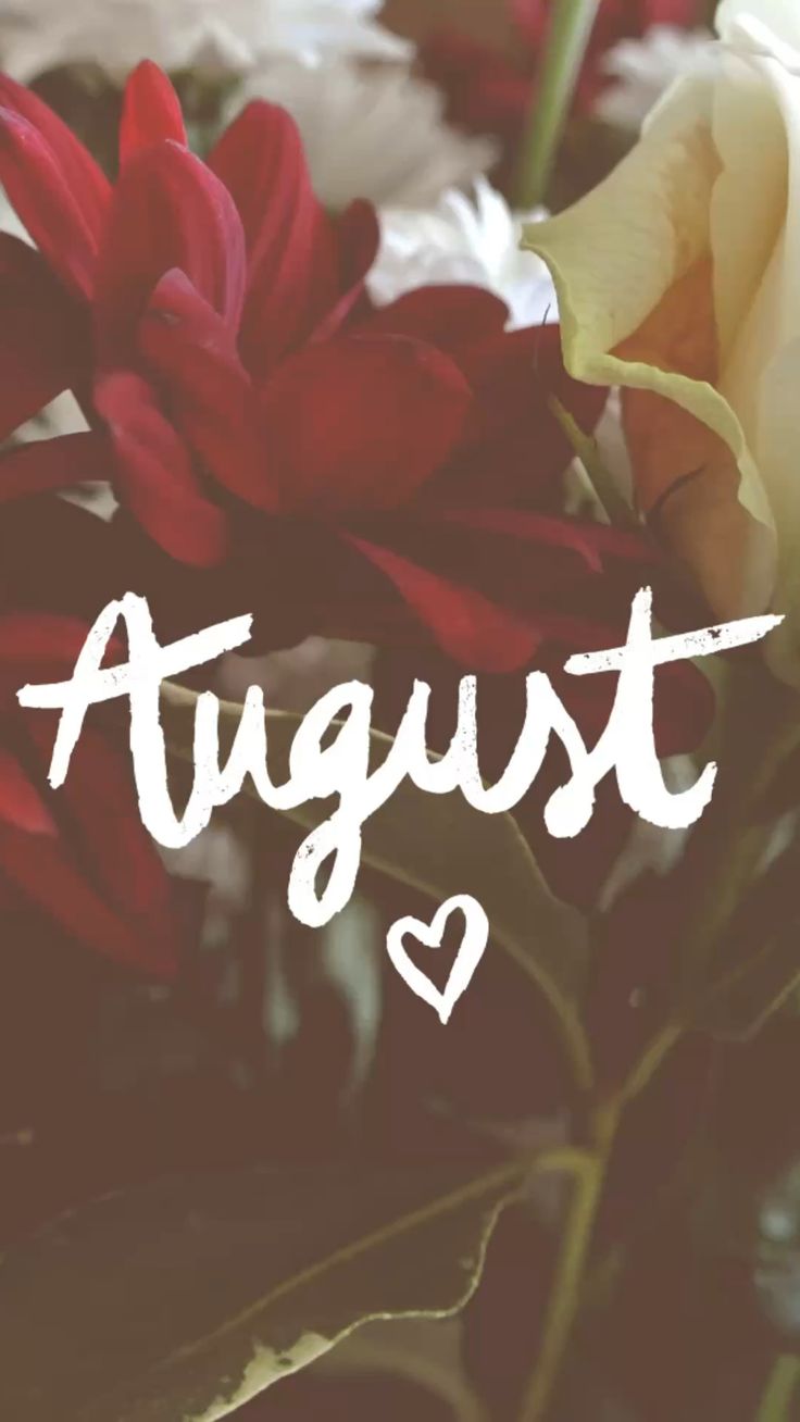 charming August backgrounds for devices