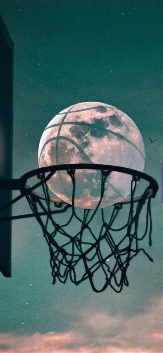 charming backgrounds for basketball lovers