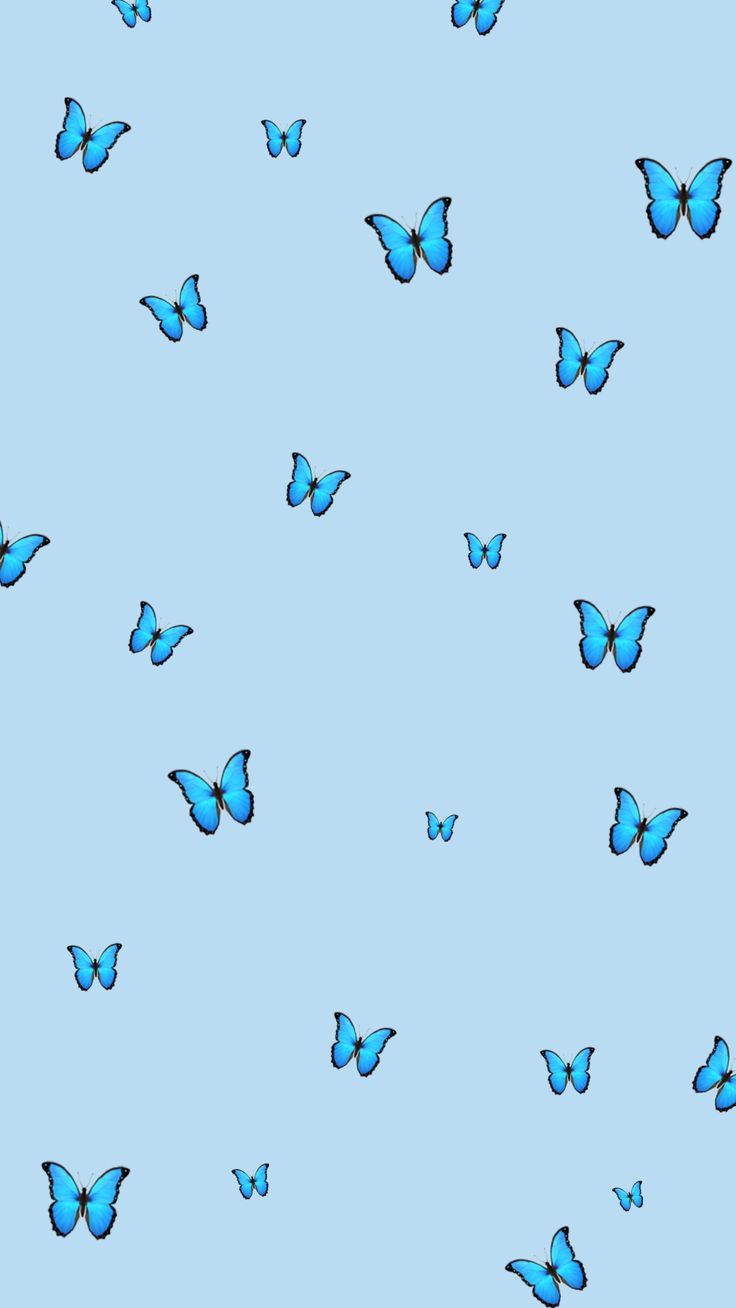 charming blue butterfly wallpaper