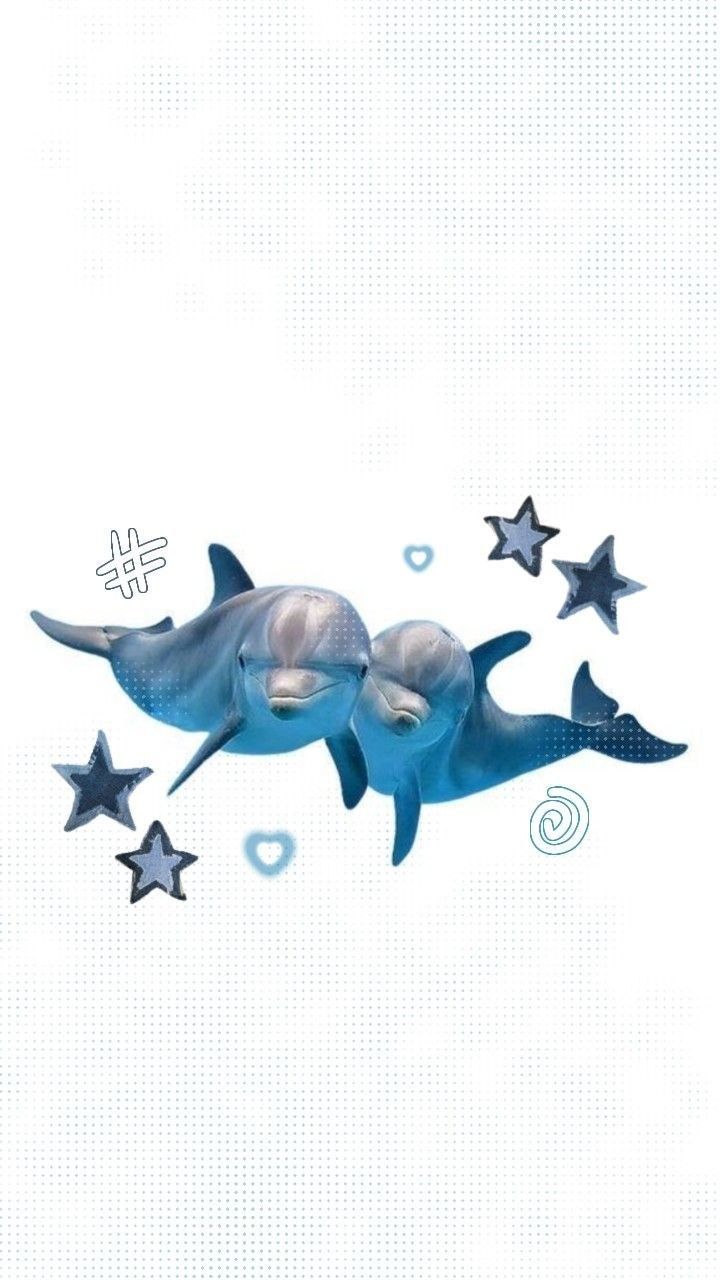 charming dolphin-themed backgrounds