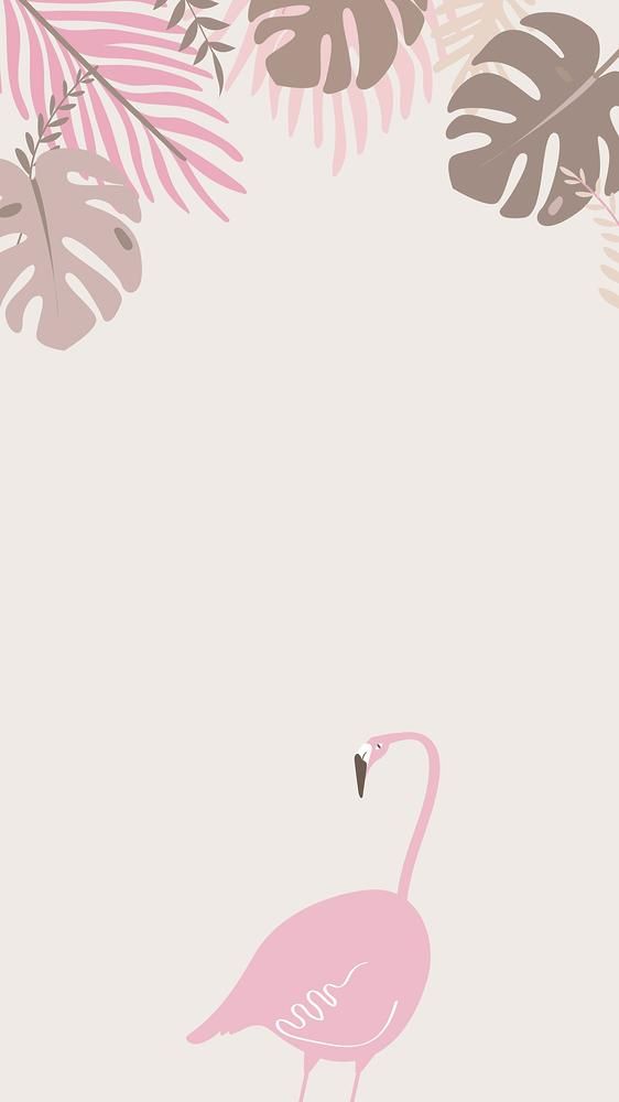 charming flamingo backgrounds for social media