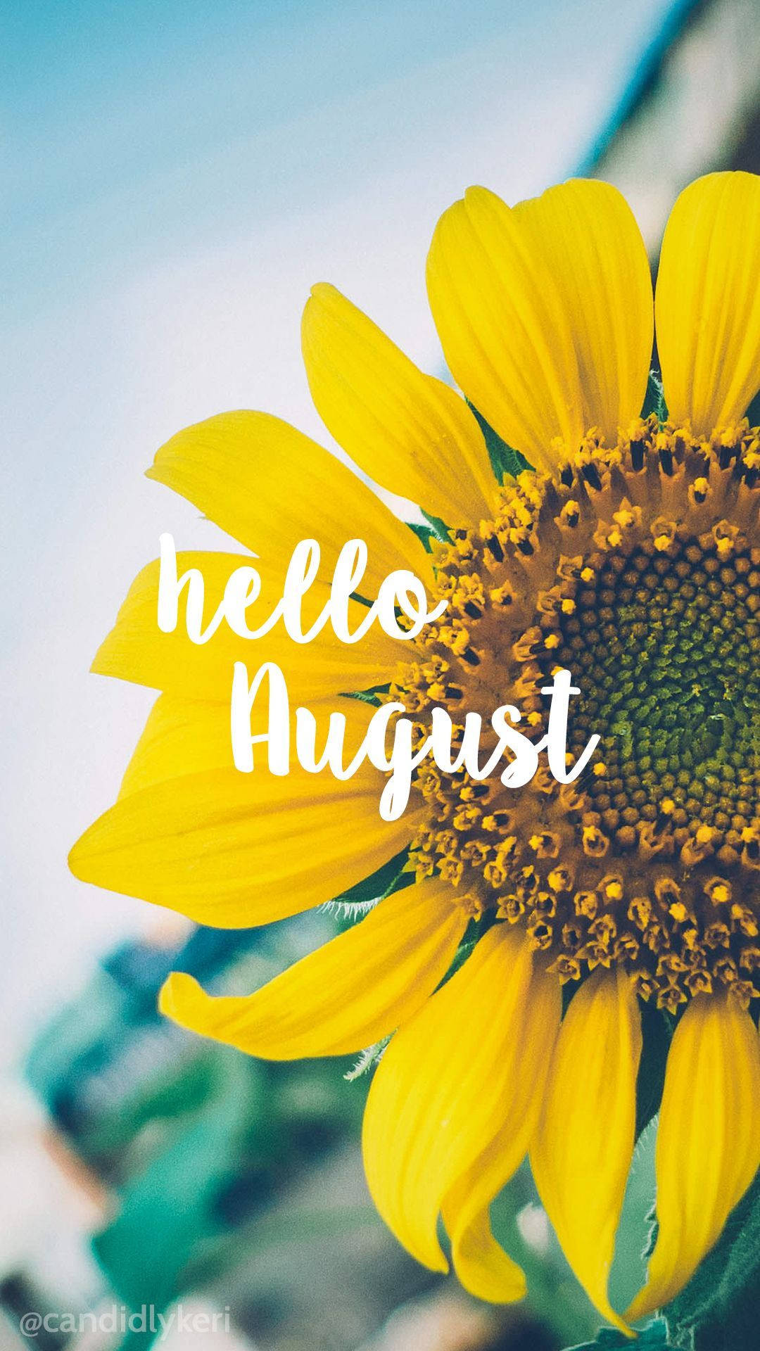 cheerful backgrounds for August aesthetics