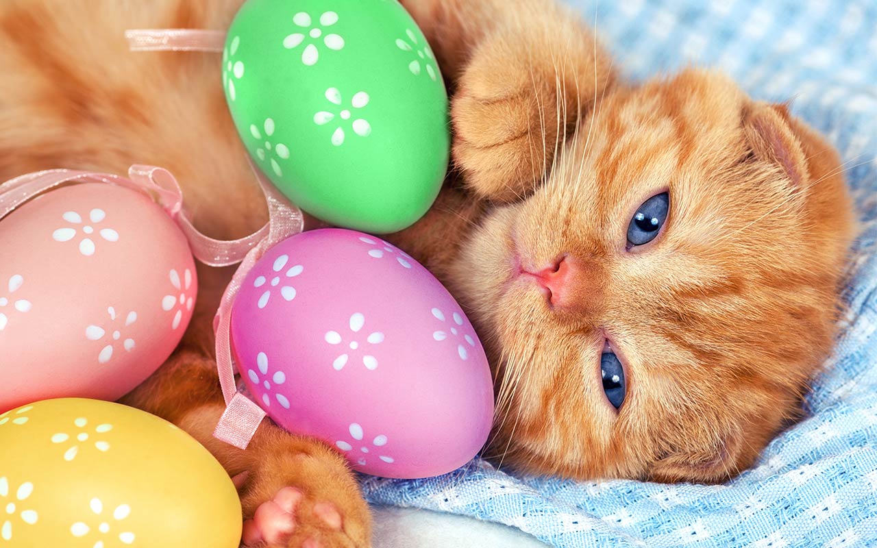 colorful cute Easter backgrounds for crafts