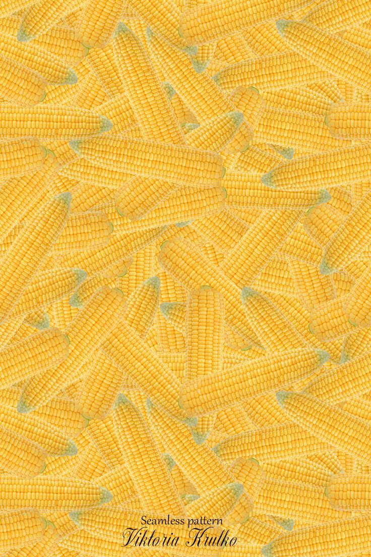 creative cute corn background options