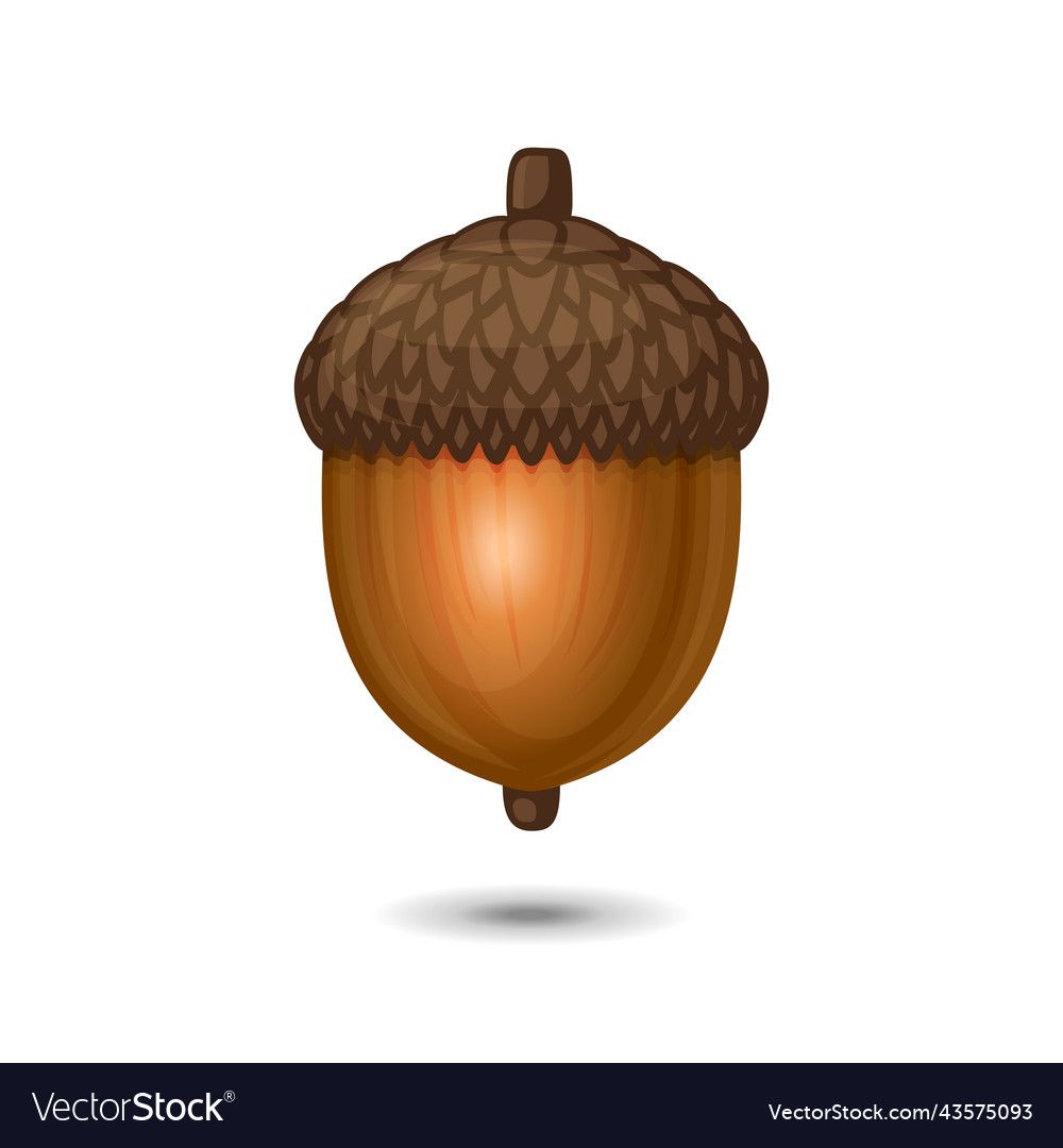 cute acorn background 0011