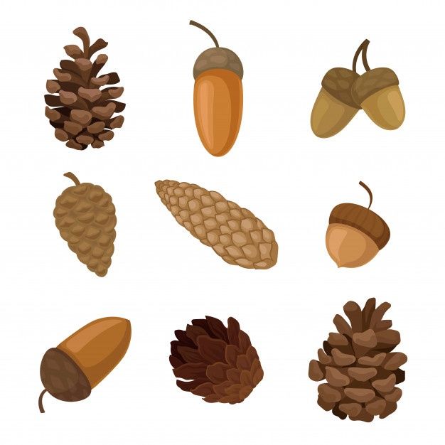 cute acorn background 0012