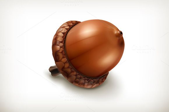 cute acorn background 0058