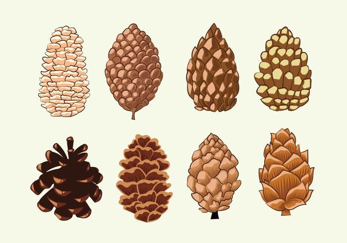 cute acorn background 0062