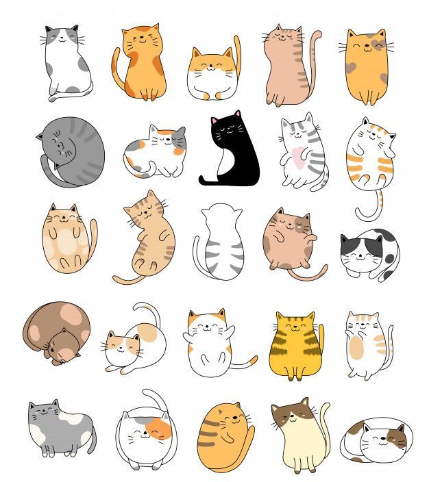 cute animal backgrounds 0068