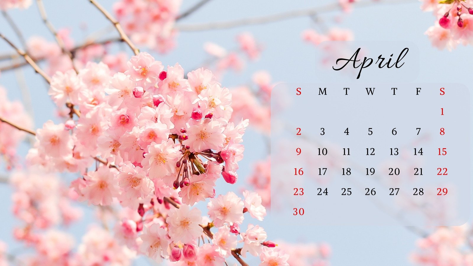 cute april backgrounds 0015