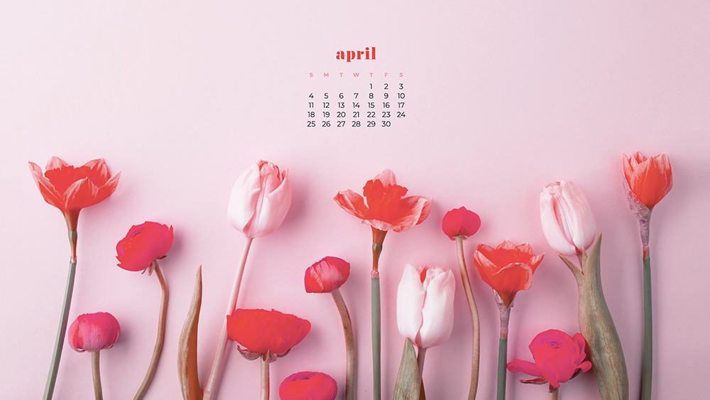 cute april backgrounds 0019