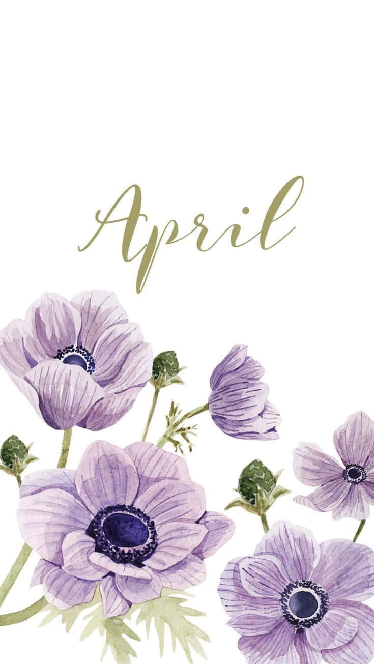 cute april backgrounds 0030