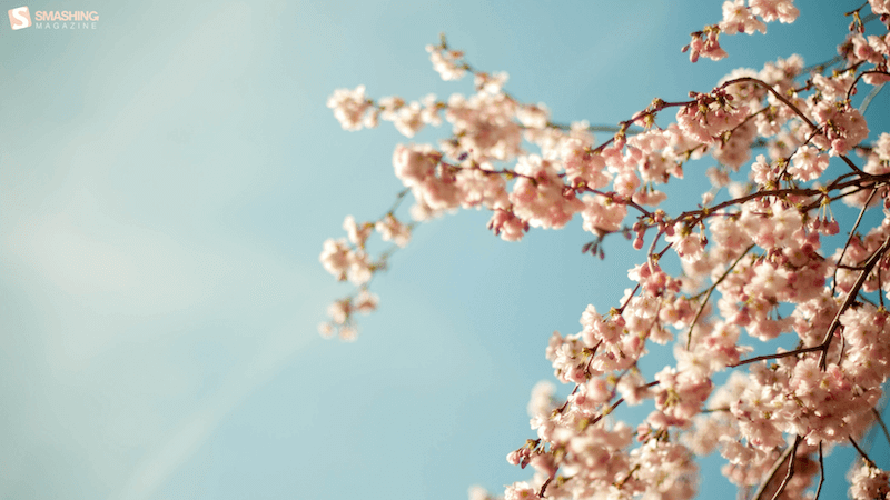 cute april backgrounds 0040