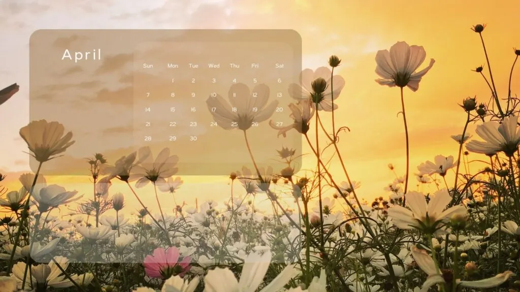 cute april backgrounds 0046