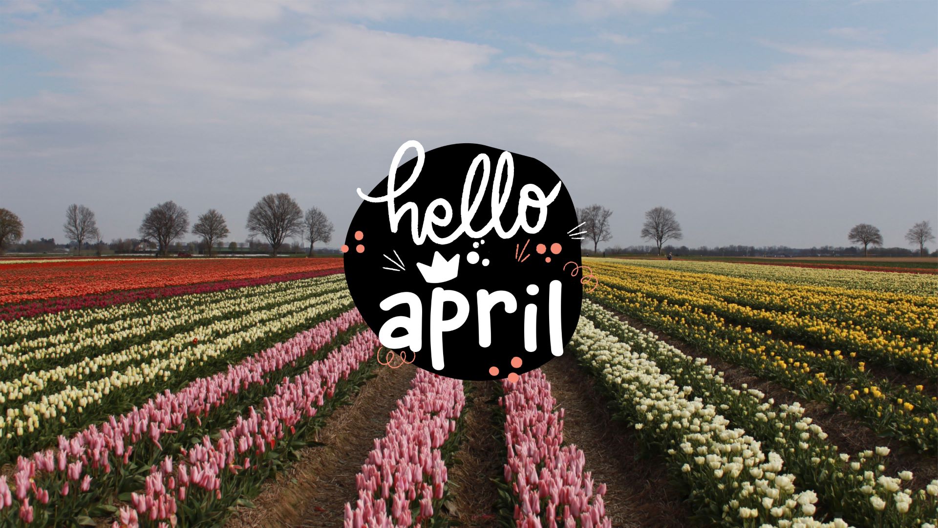 cute april backgrounds 0063