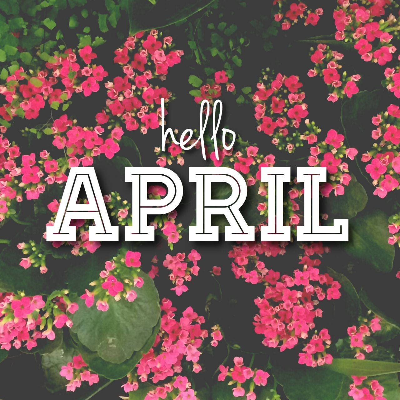 cute april backgrounds 0099