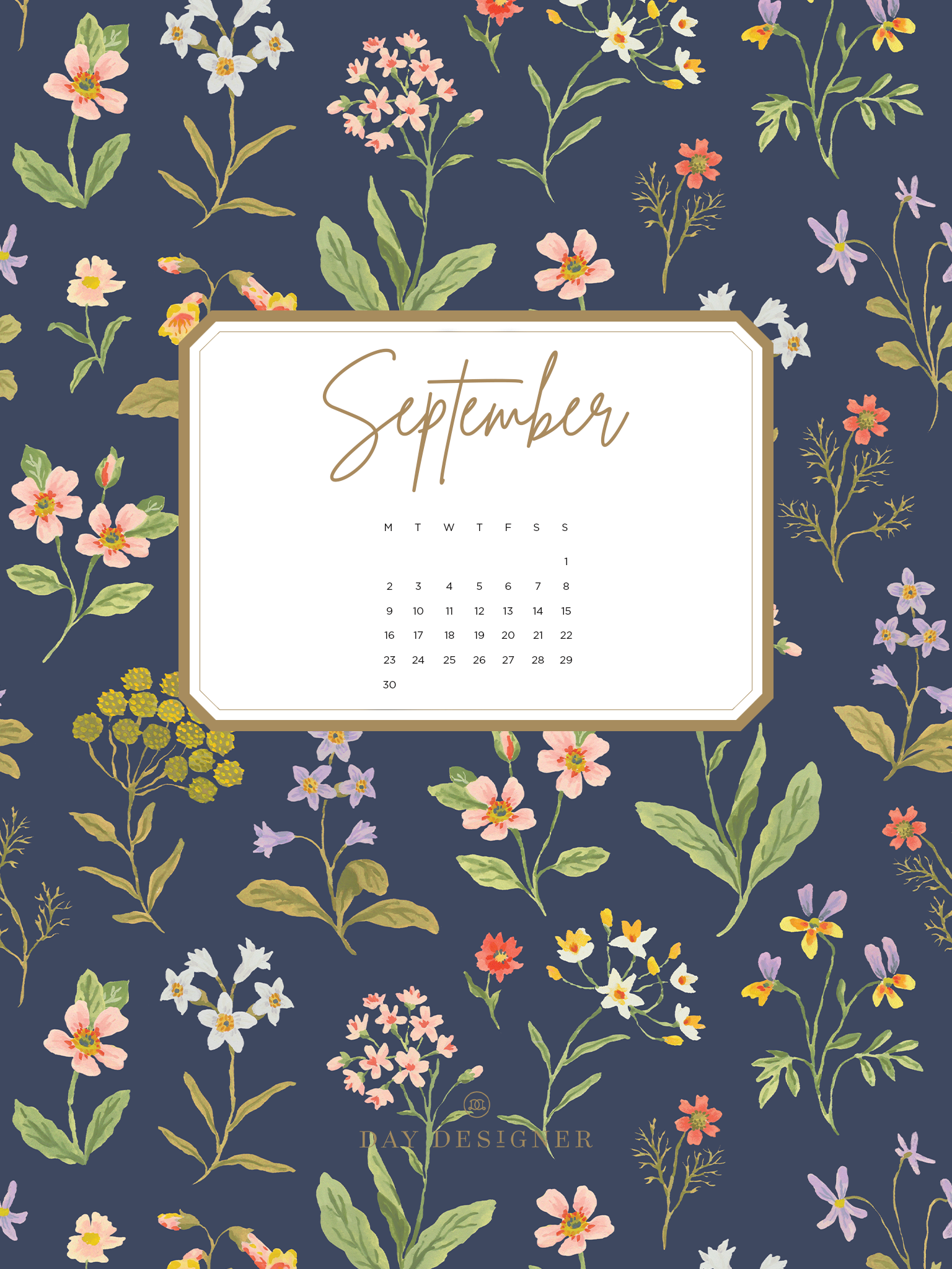 cute august backgrounds 0047