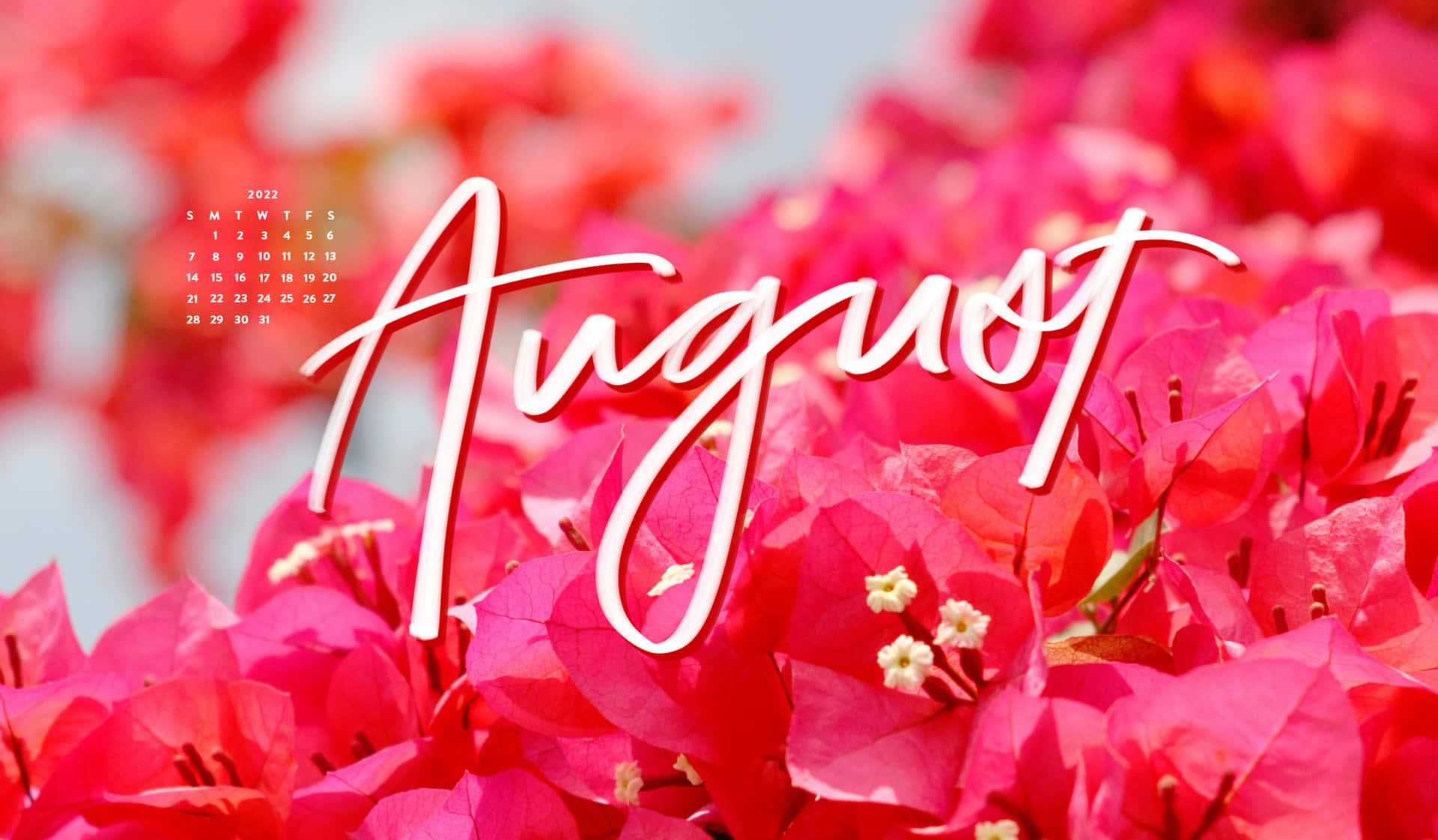 cute august backgrounds 0048