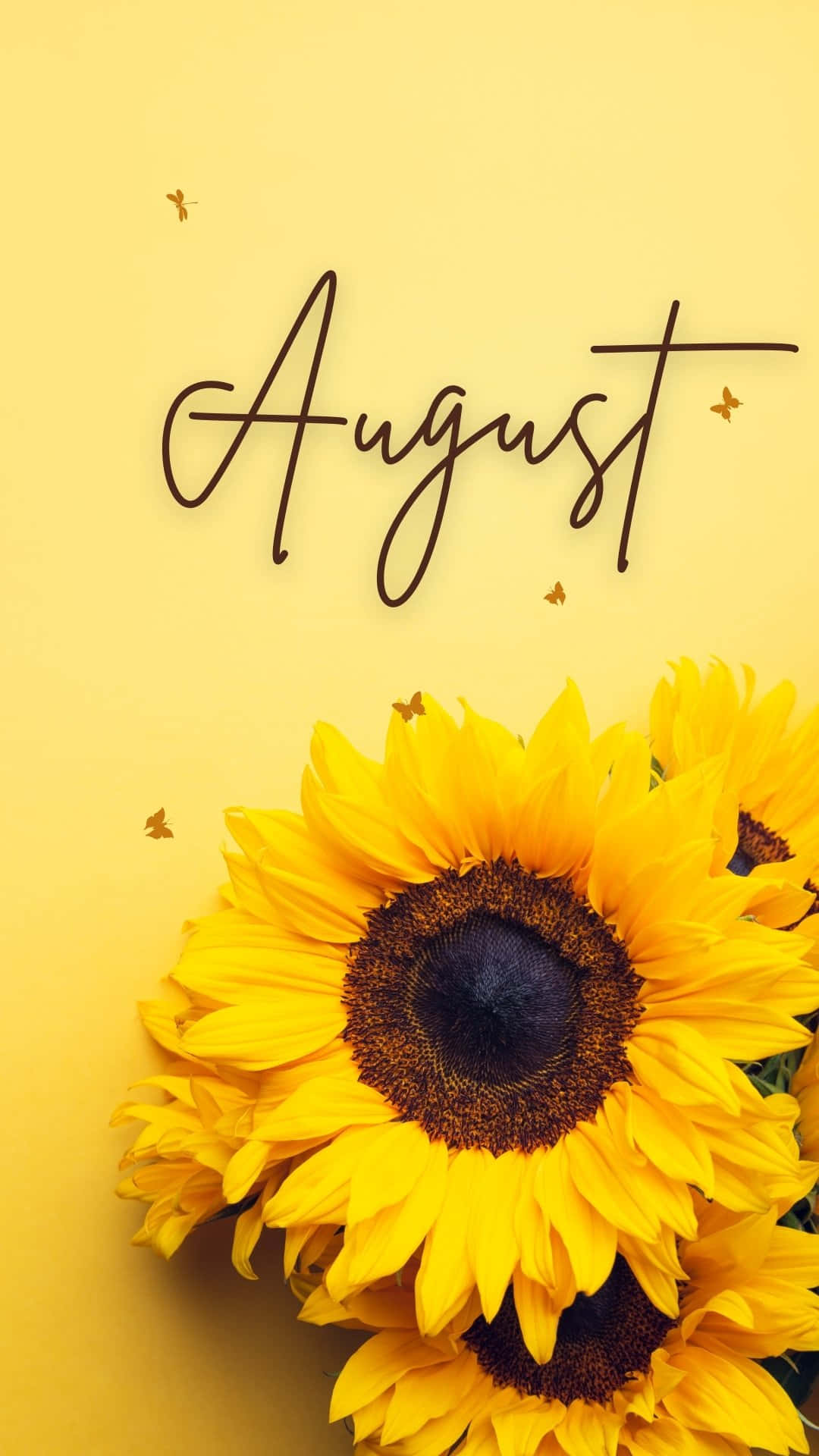 cute august backgrounds 0065