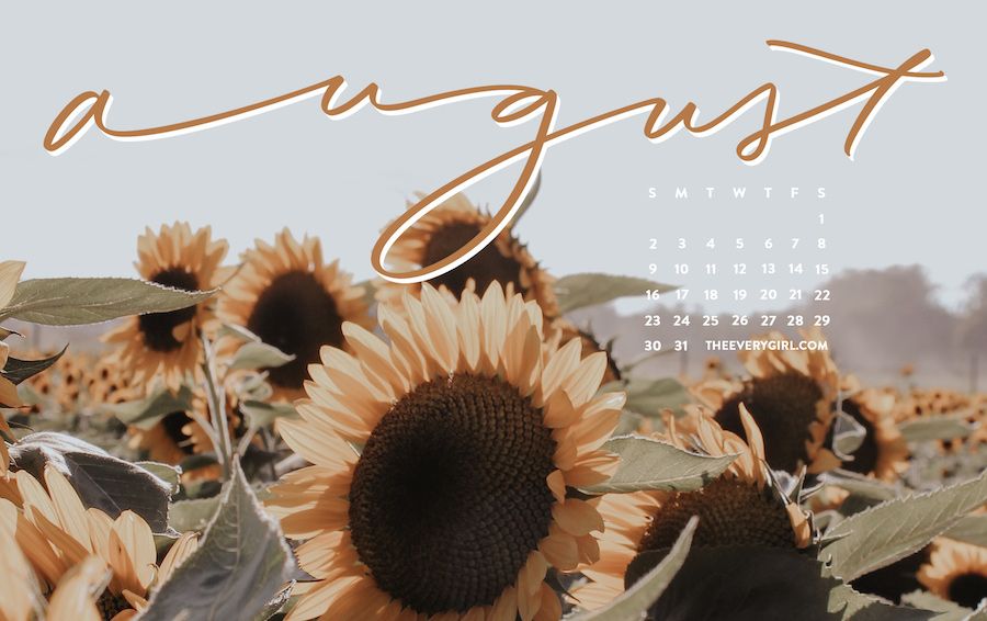 cute august backgrounds 0067