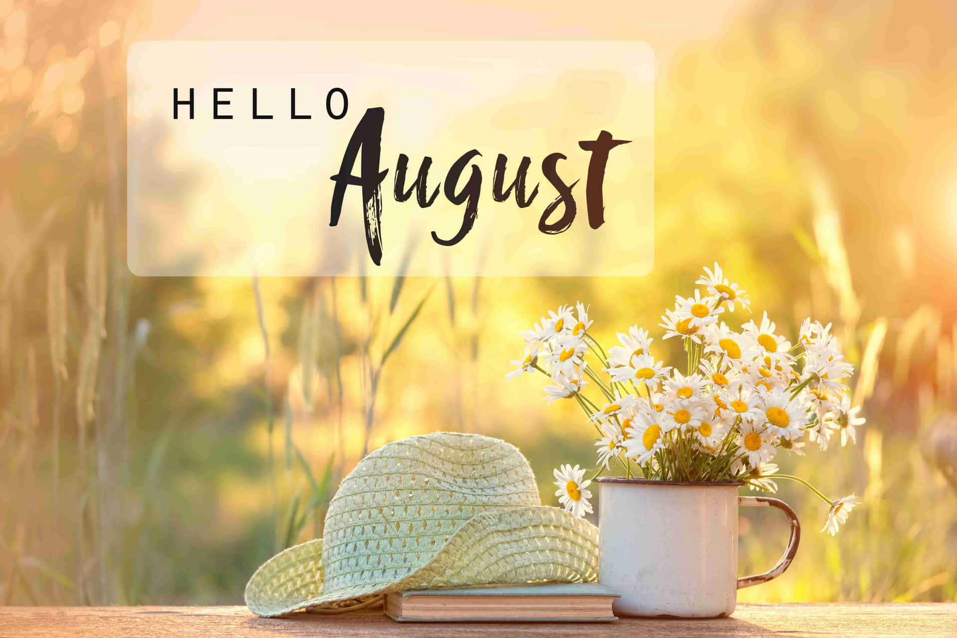 cute august backgrounds 0079