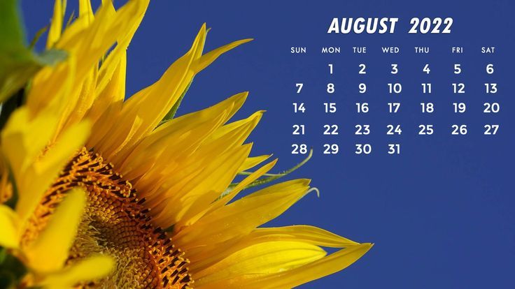 cute august backgrounds 0085