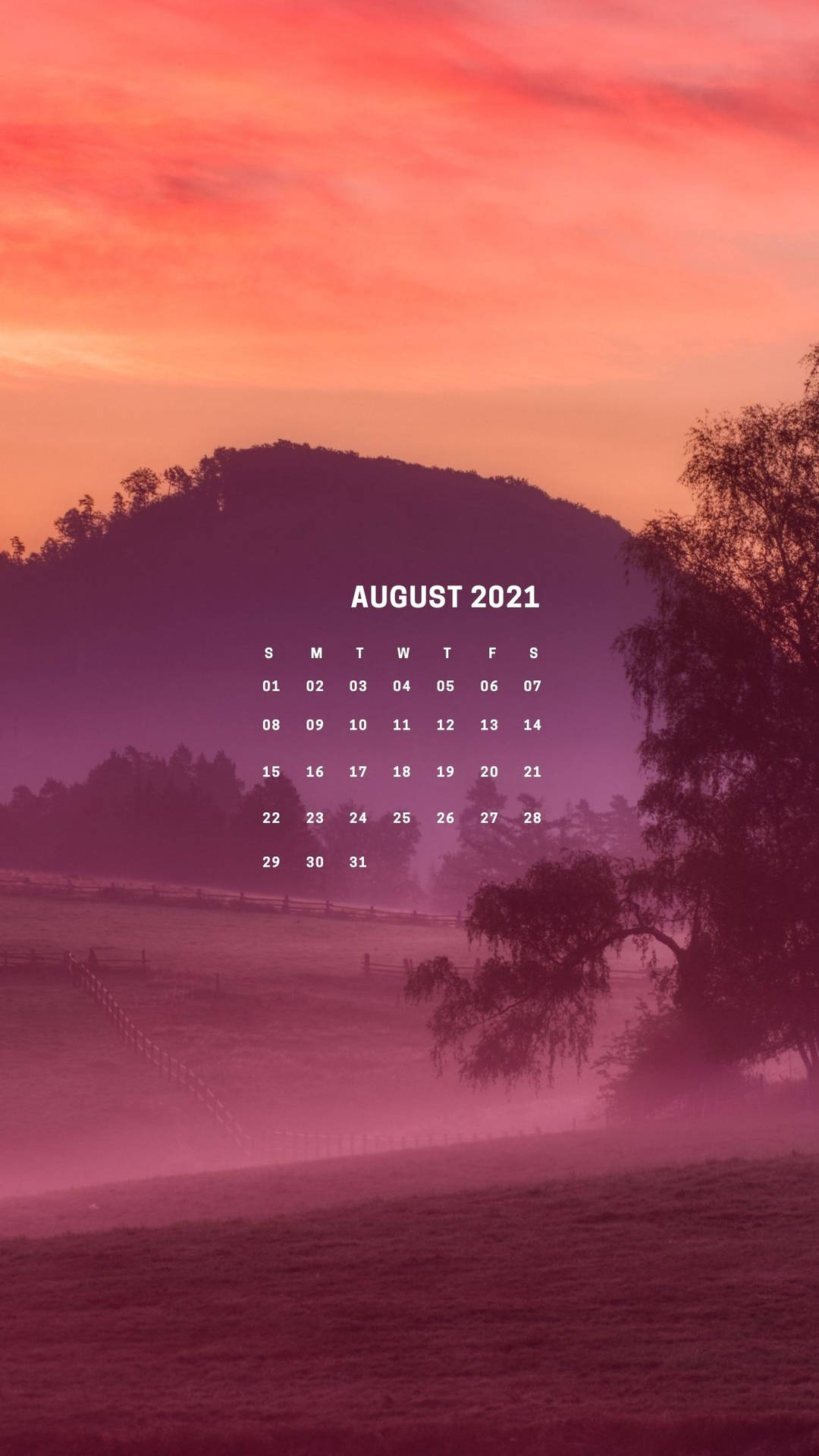 cute august backgrounds 0092