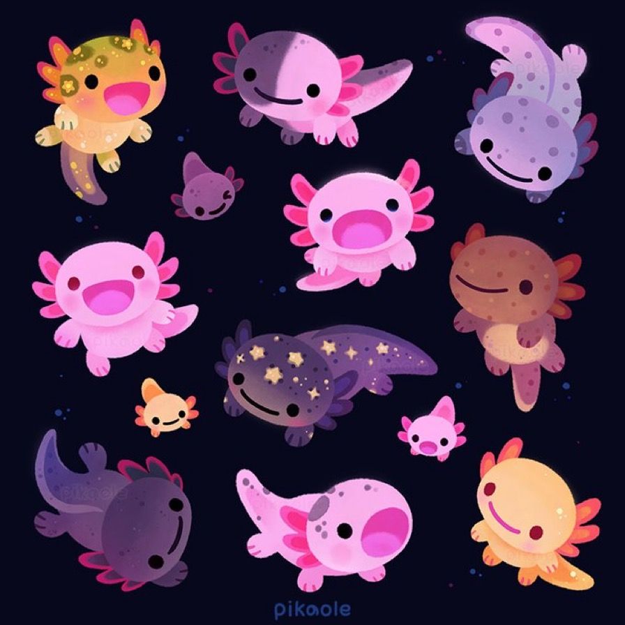 cute axolotl backgrounds 0020