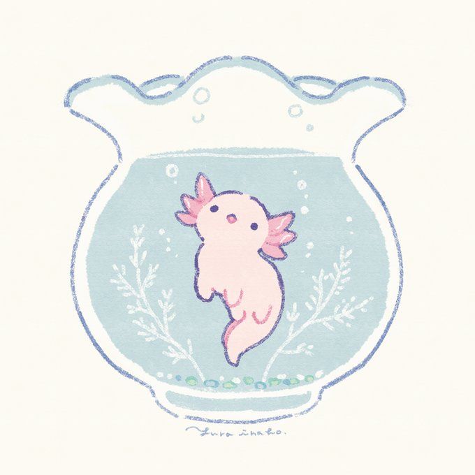 cute axolotl backgrounds 0046