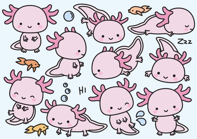 cute axolotl backgrounds 0068