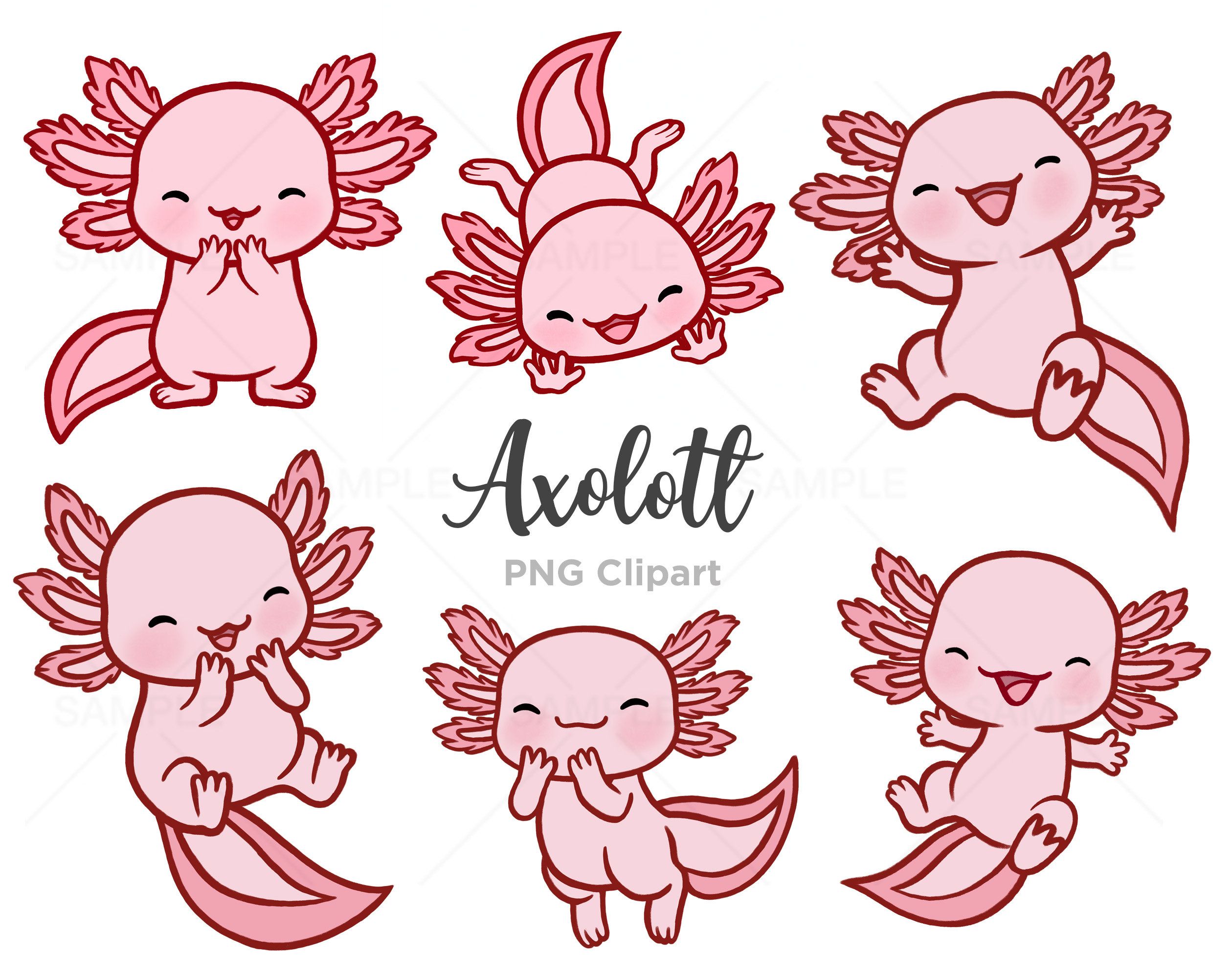 cute axolotl backgrounds 0091