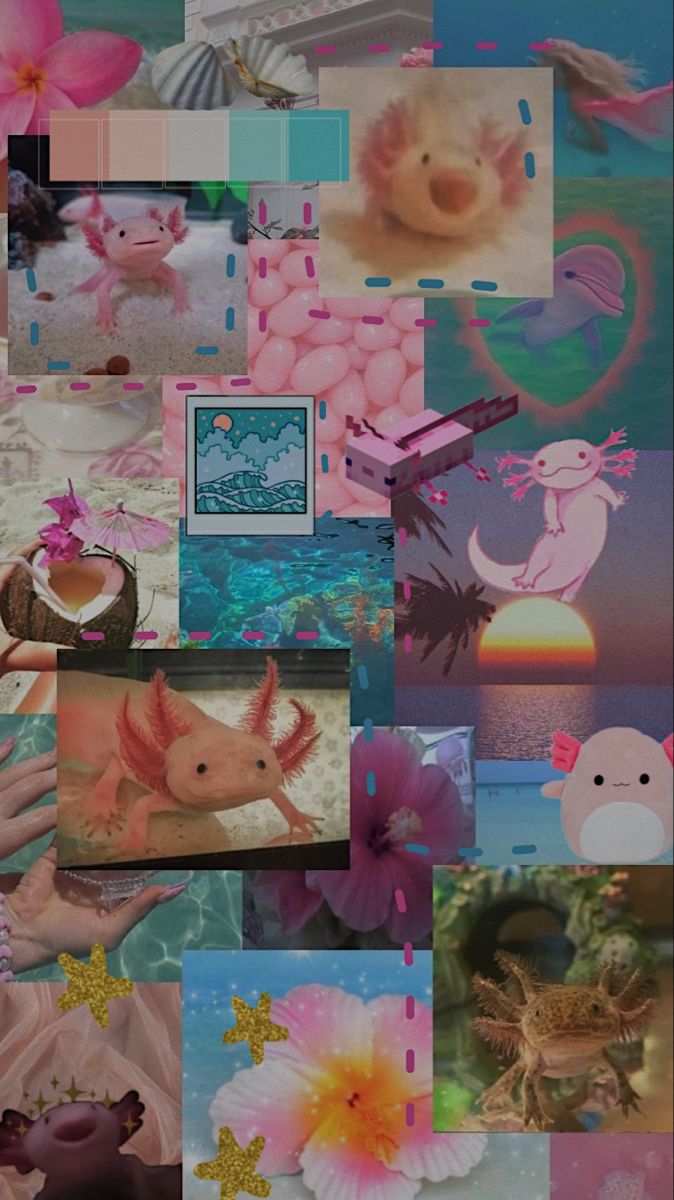 cute axolotl wallpaper designs