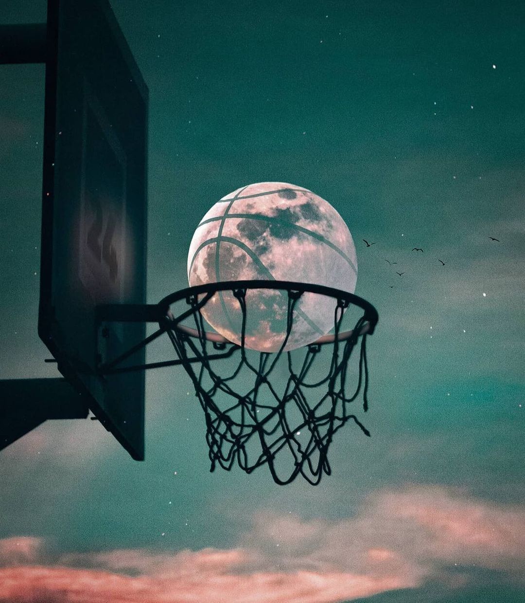 cute basketball backgrounds 0098