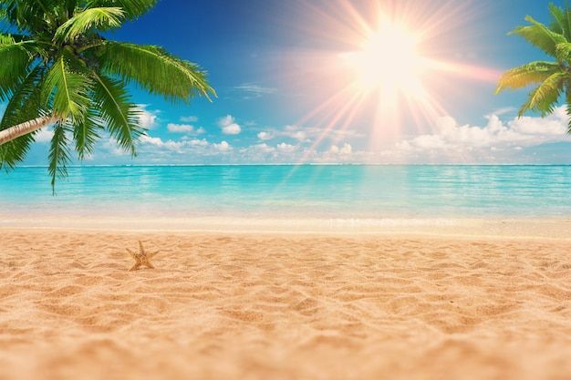 cute beach backgrounds 0057