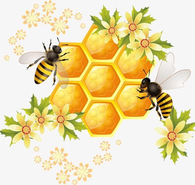 cute bee backgrounds 0013