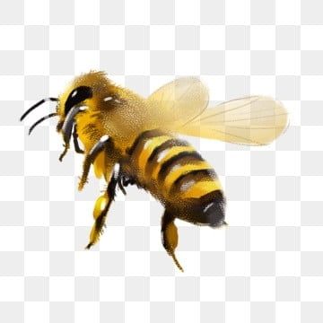 cute bee backgrounds 0056