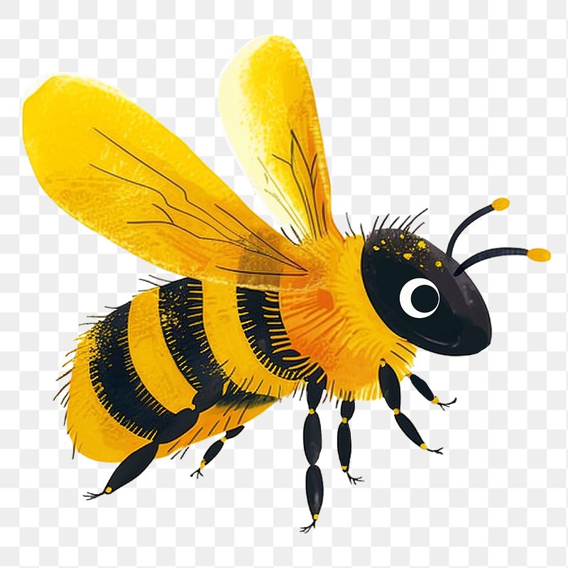 cute bee transparent background 0021