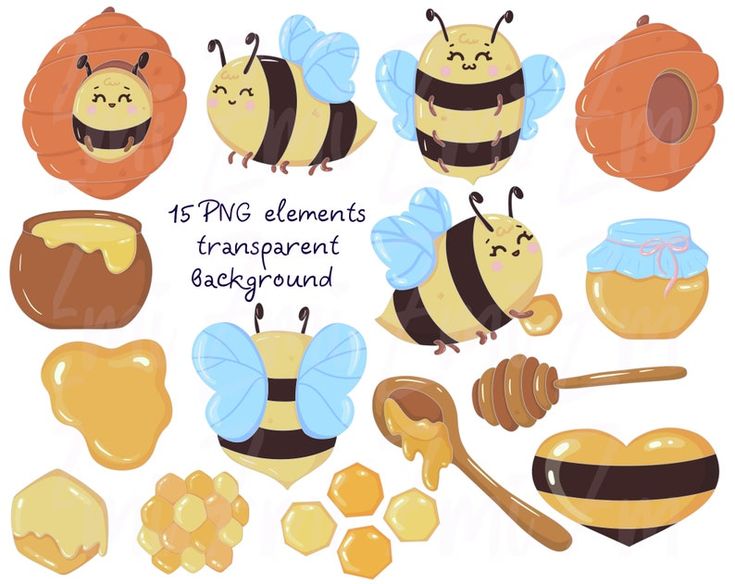 cute bee transparent background 0097